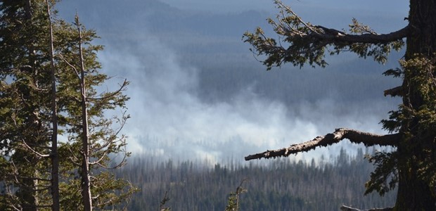 Αρτοποιός: Μην χρησιμοποιείτε drones πάνω από τις φωτιές 